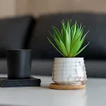 Apartman Dalija
