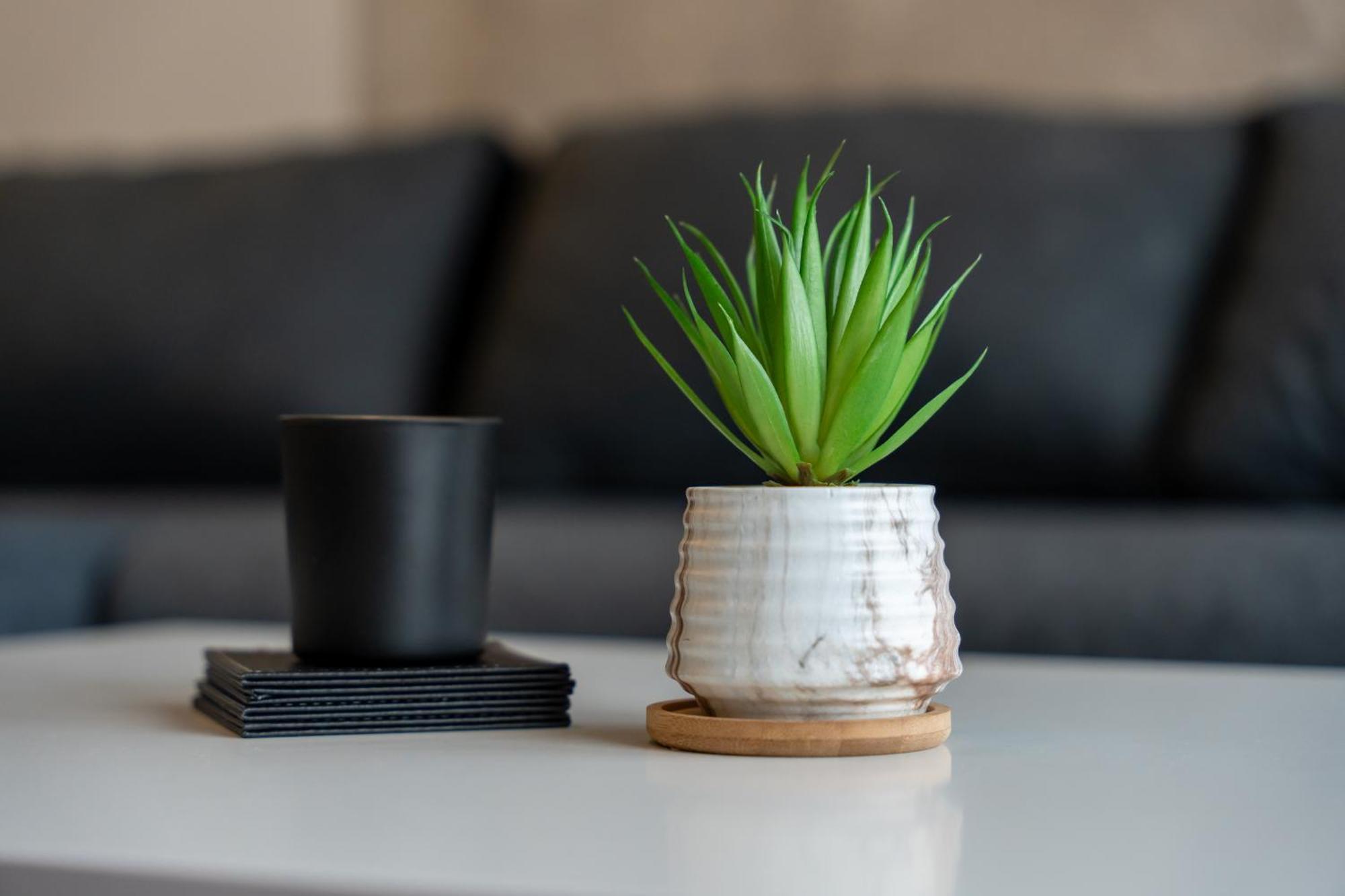 Dalija Apartment *